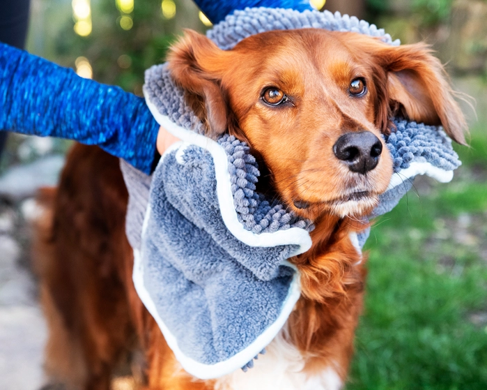 Dog Dry Bag — Whinny & Wag